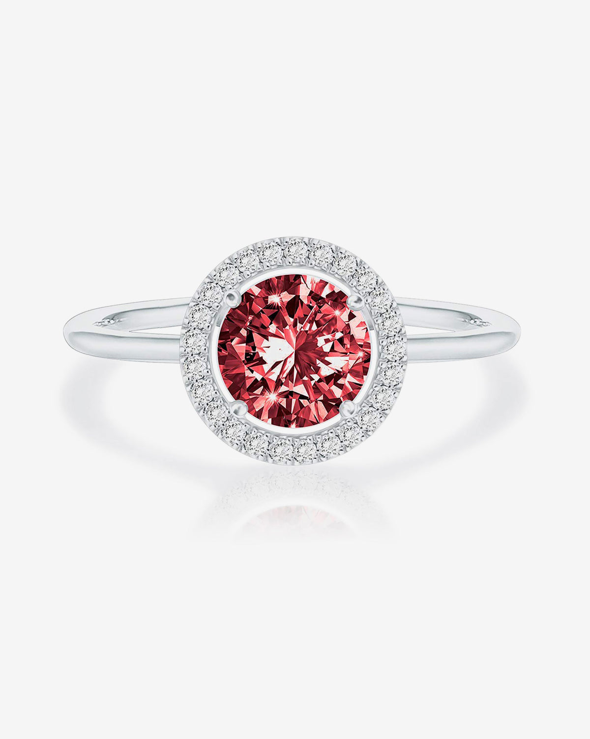 Anillo Clara 1