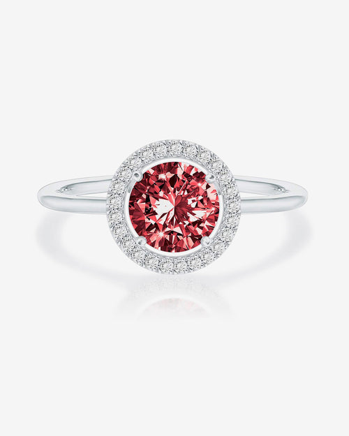 Anillo Clara 1