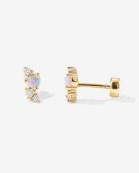 Arete Carla 1