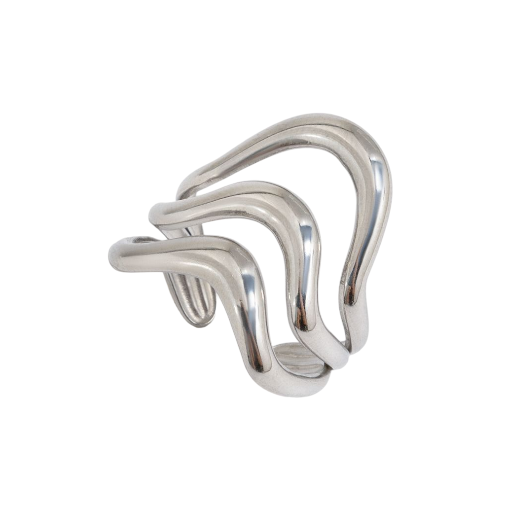 Anillo Jara — imagen 1