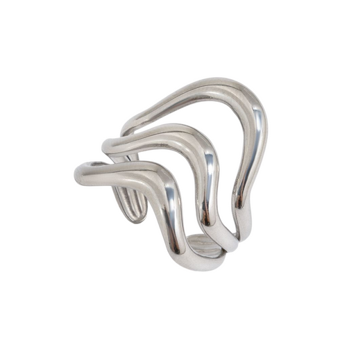 Anillo Jara — imagen 1