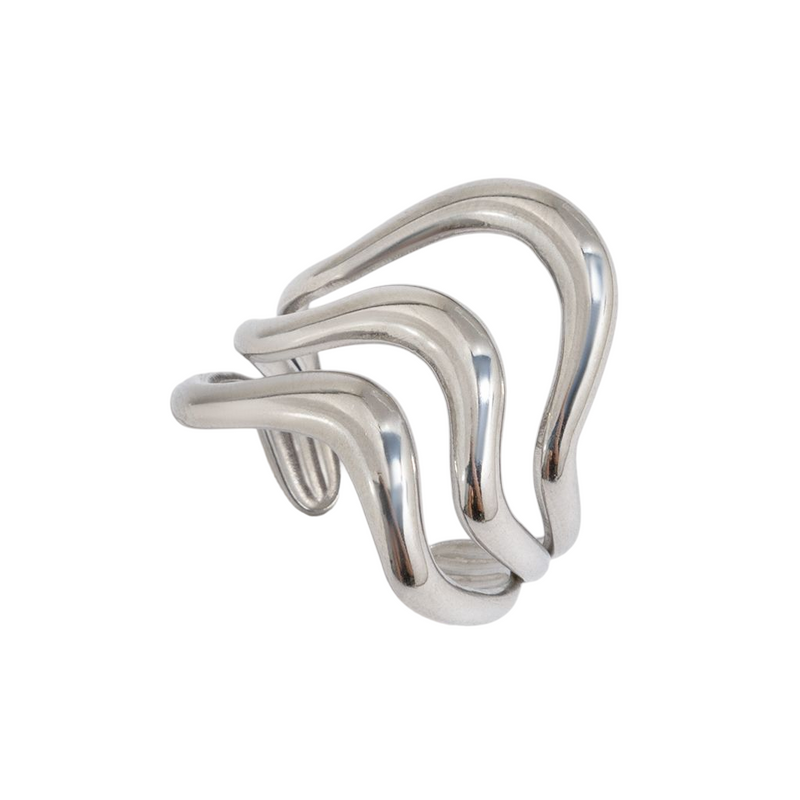 Anillo Jara — imagen 1