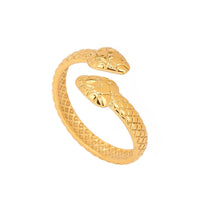Anillo Leire — imagen 1